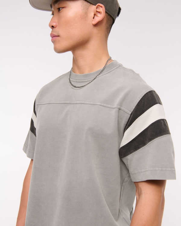 Premium Heavyweight Cropped Tee, Light Gray Stripe view 2