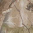 light brown camo