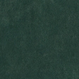 dark forest wash