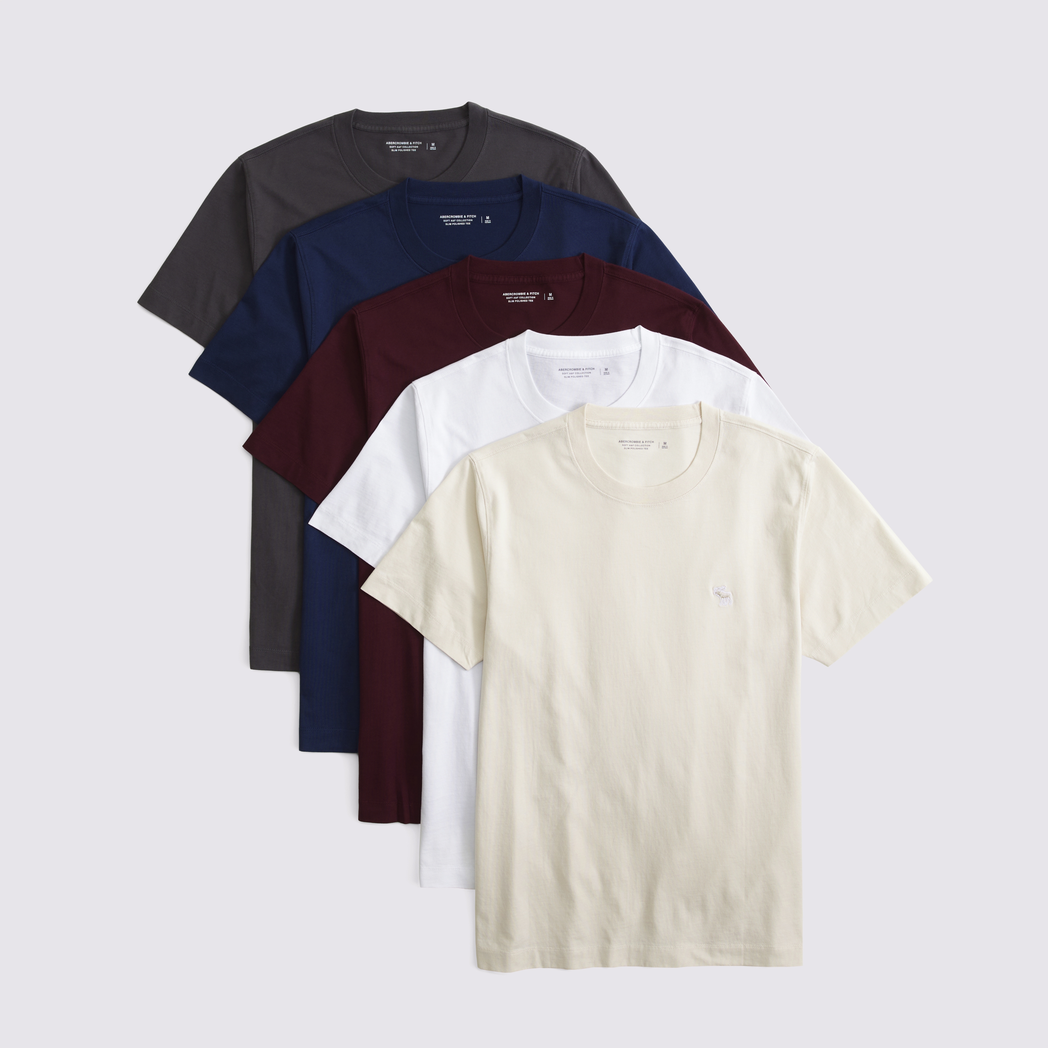 Abercrombie & Fitch 5-pack Slim Polished Signature Icon Tees In Multi