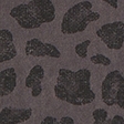 grey leopard