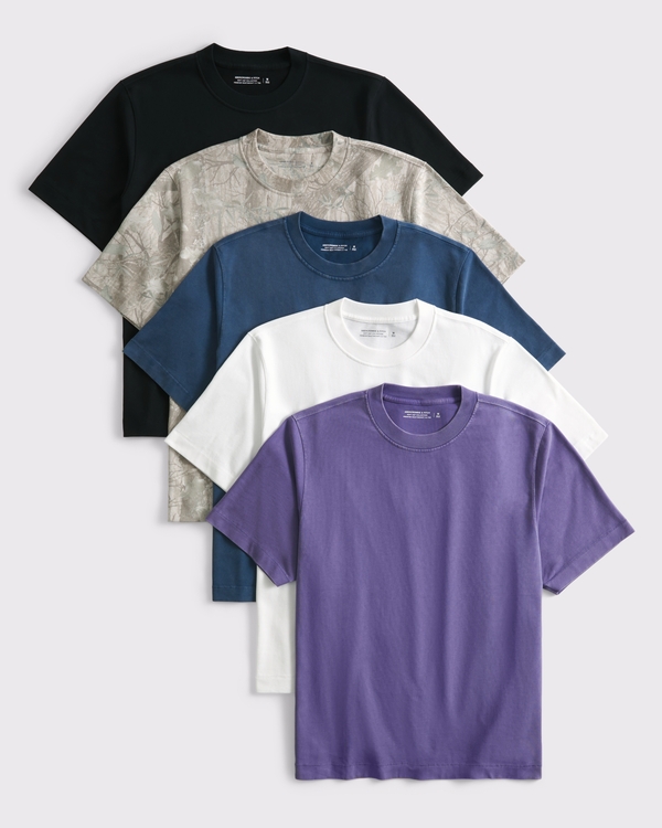 5-Pack Premium Heavyweight 2.0 Tees, Purple Multicolor view 1