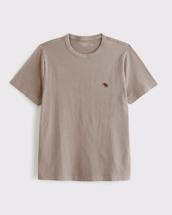 メンズ Tシャツ | Abercrombie & Fitch