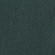 dark spruce