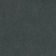 dark spruce