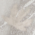 light gray camo