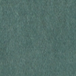forest wash