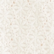 bianco sporco