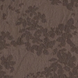 black walnut