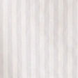 light brown stripe