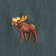 dark spruce