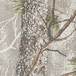 light brown camo