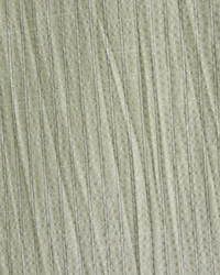 Seersucker Button-Up Shirt