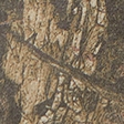olive camo
