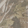 olive camo