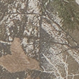 olive camo