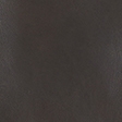 light brown stripe