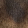 dark brown pattern