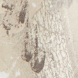 crème camouflage