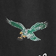 black-philadelphia eagles