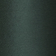 dark spruce