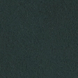 dark spruce