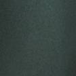dark spruce