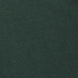dark spruce