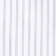 white stripe