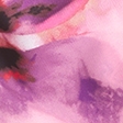 pink floral