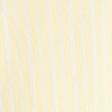 yellow stripe
