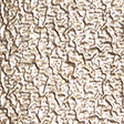 gold metallic