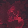 rosso a fiori