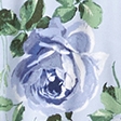blue floral