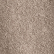 taupe gray