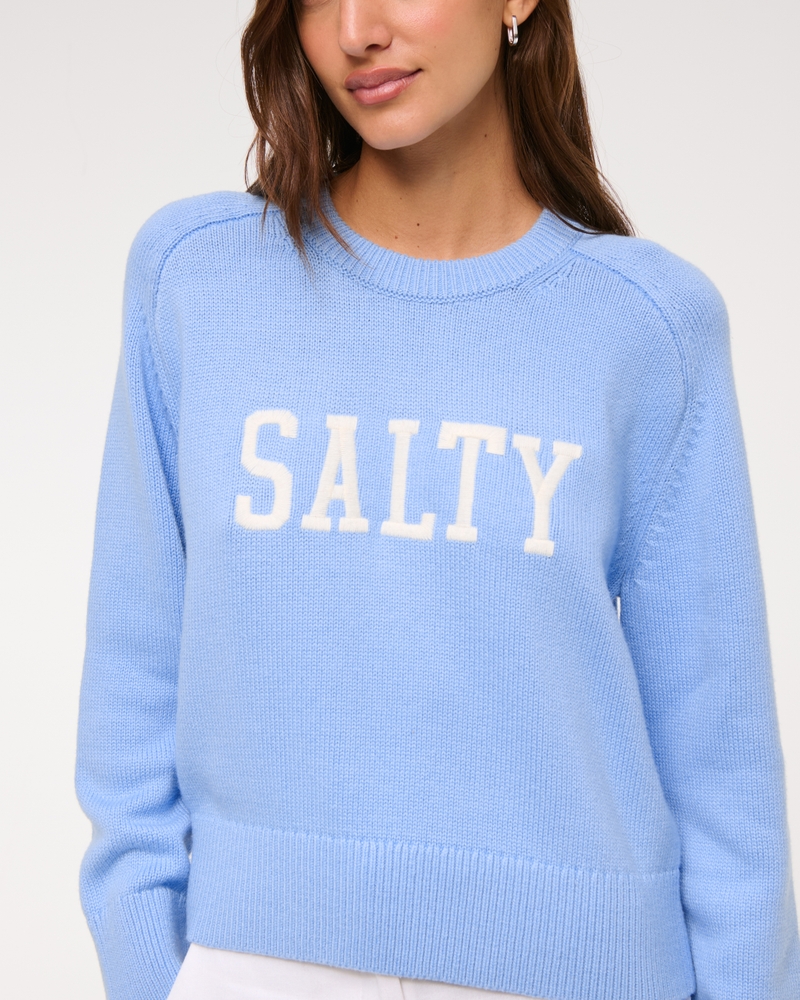 The A&F Madeline Hamptons Crew Sweater