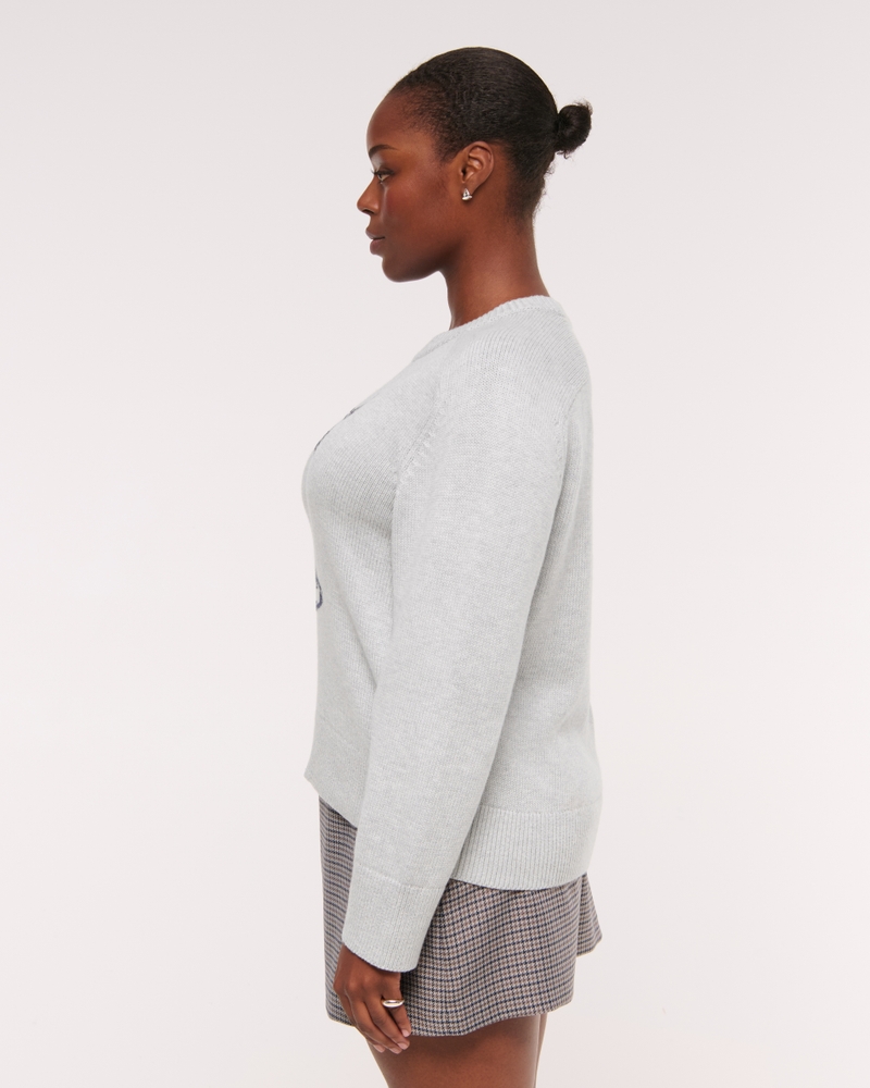 The A&F Madeline Martini Crew Sweater
