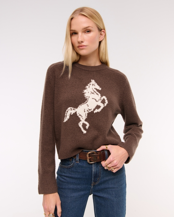 The A&F Madeline Western Crew Sweater, Brown view 1