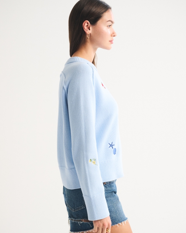 The A&F Madeline Coastal Crew Sweater