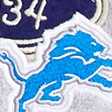 light gray - lions