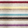 multicolor stripe