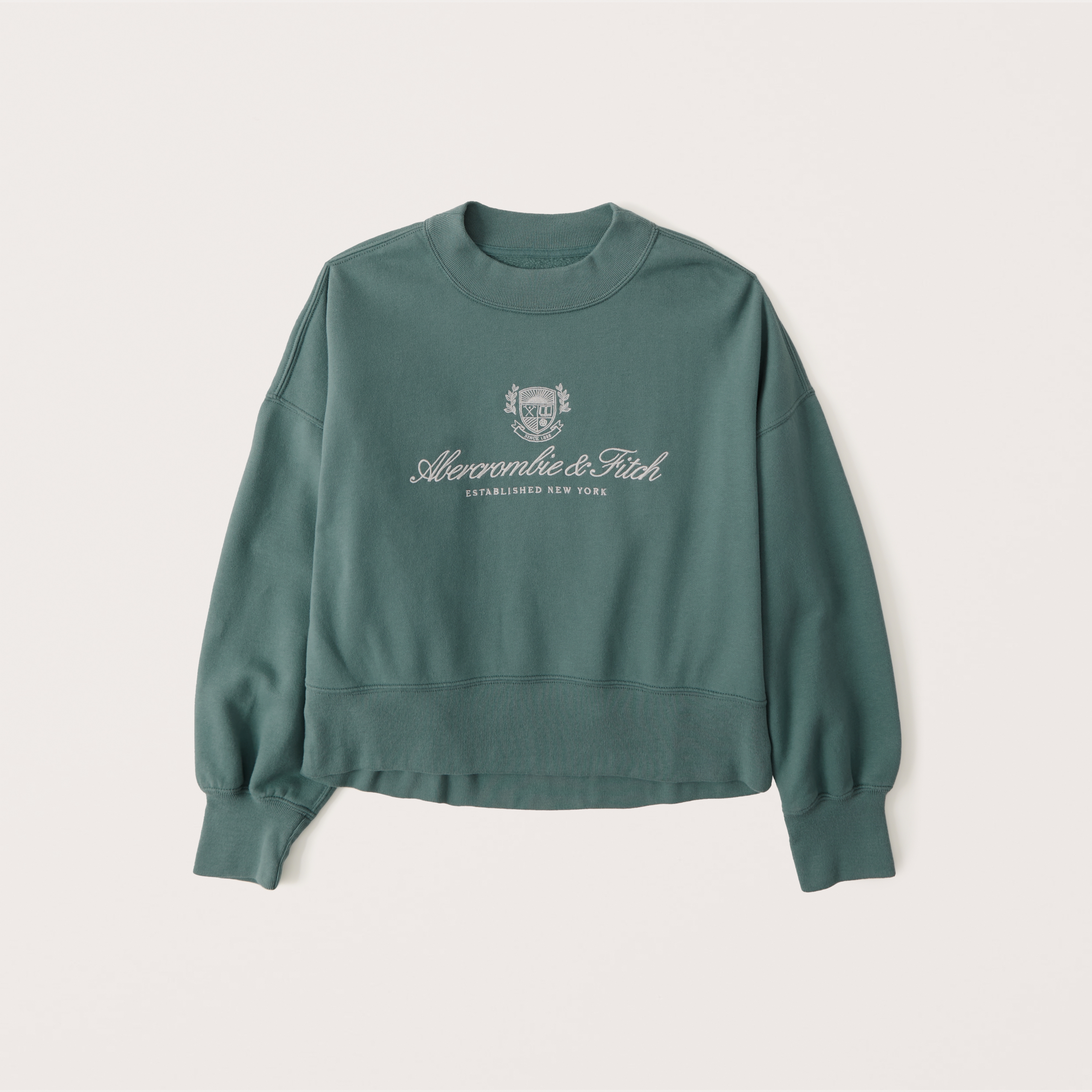 abercrombie hoodie