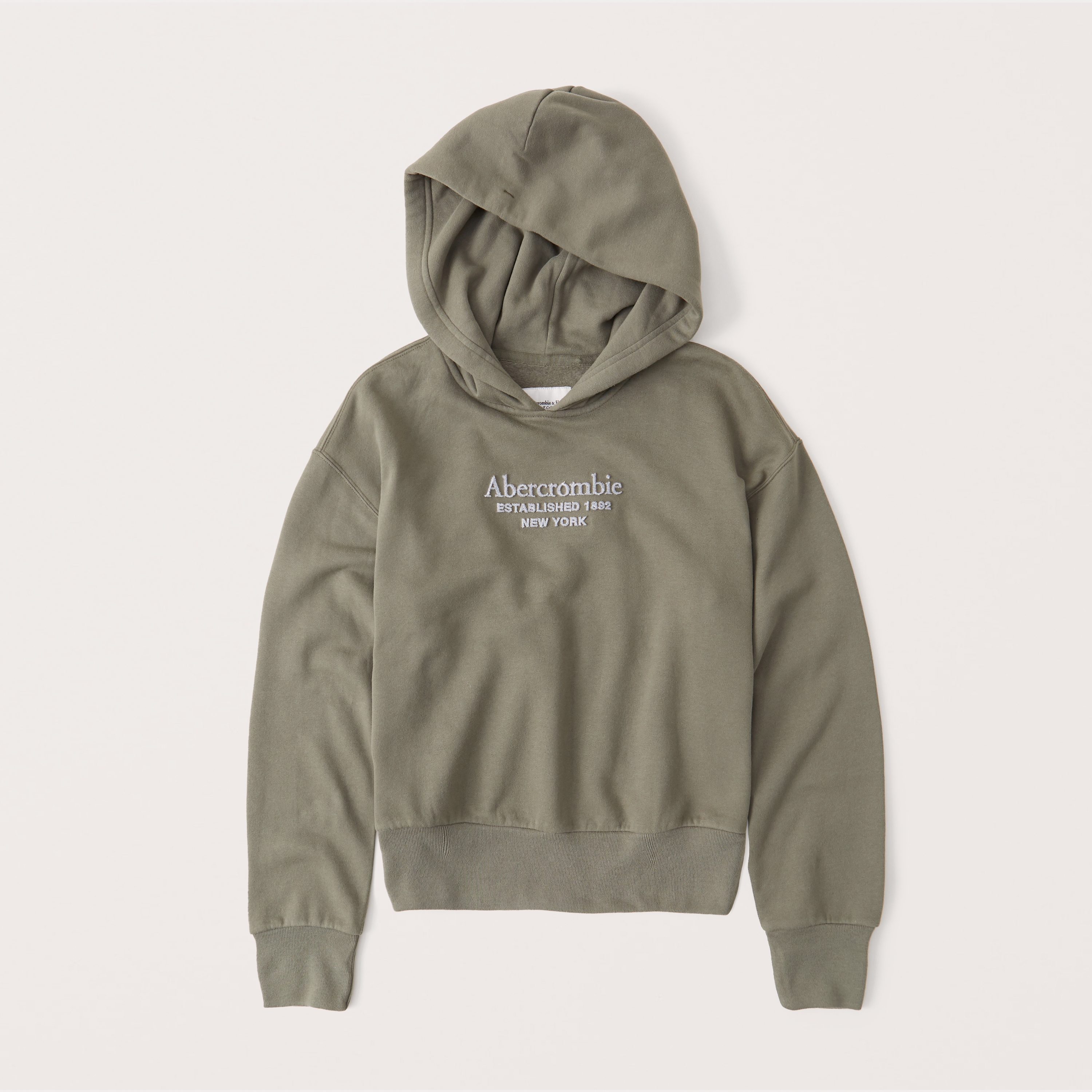 abercrombie and fitch hoodie dam