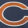 navy - bears