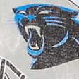 cream - panthers
