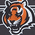 dark gray - bengals