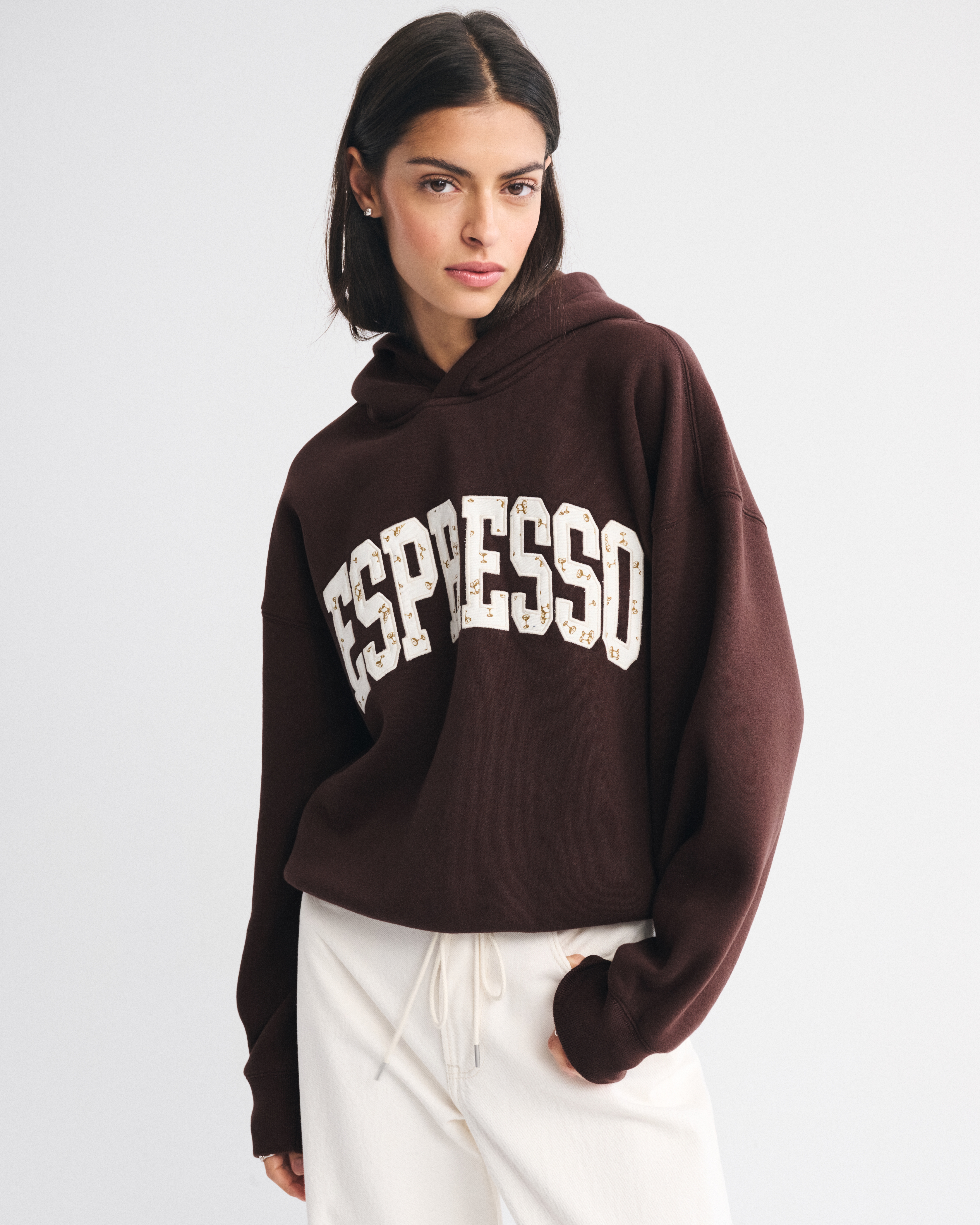 Abercrombie & Fitch Espresso Sunday Hoodie In Brown