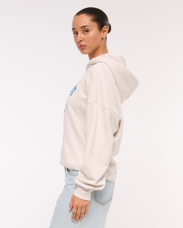 Detroit Lions Sunday Hoodie