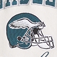feather gray - eagles