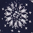 navy paisley